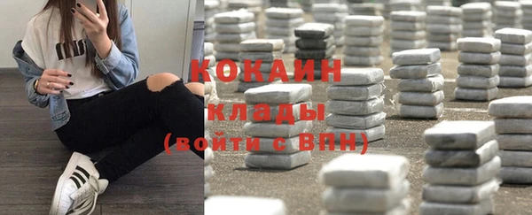 крисы Протвино