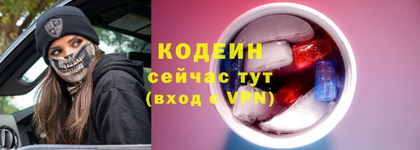 дживик Абаза