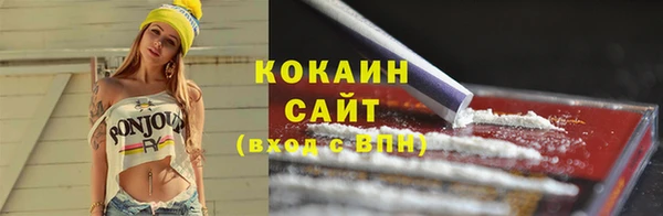 дурь Ельня