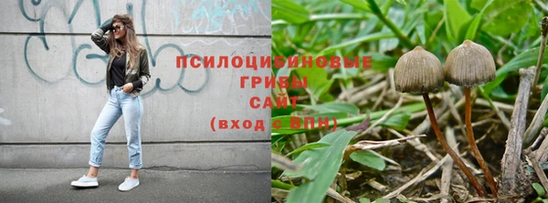 альфа пвп Санкт-Петербург