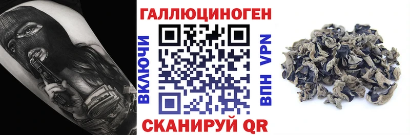 Галлюциногенные грибы GOLDEN TEACHER  даркнет формула  Мосальск 