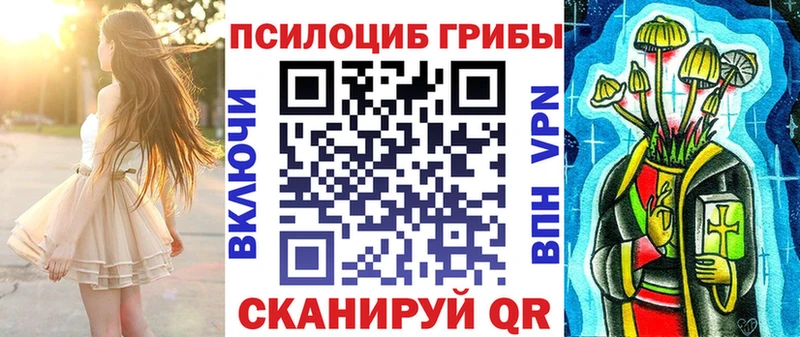 Псилоцибиновые грибы Psilocybine cubensis Мосальск